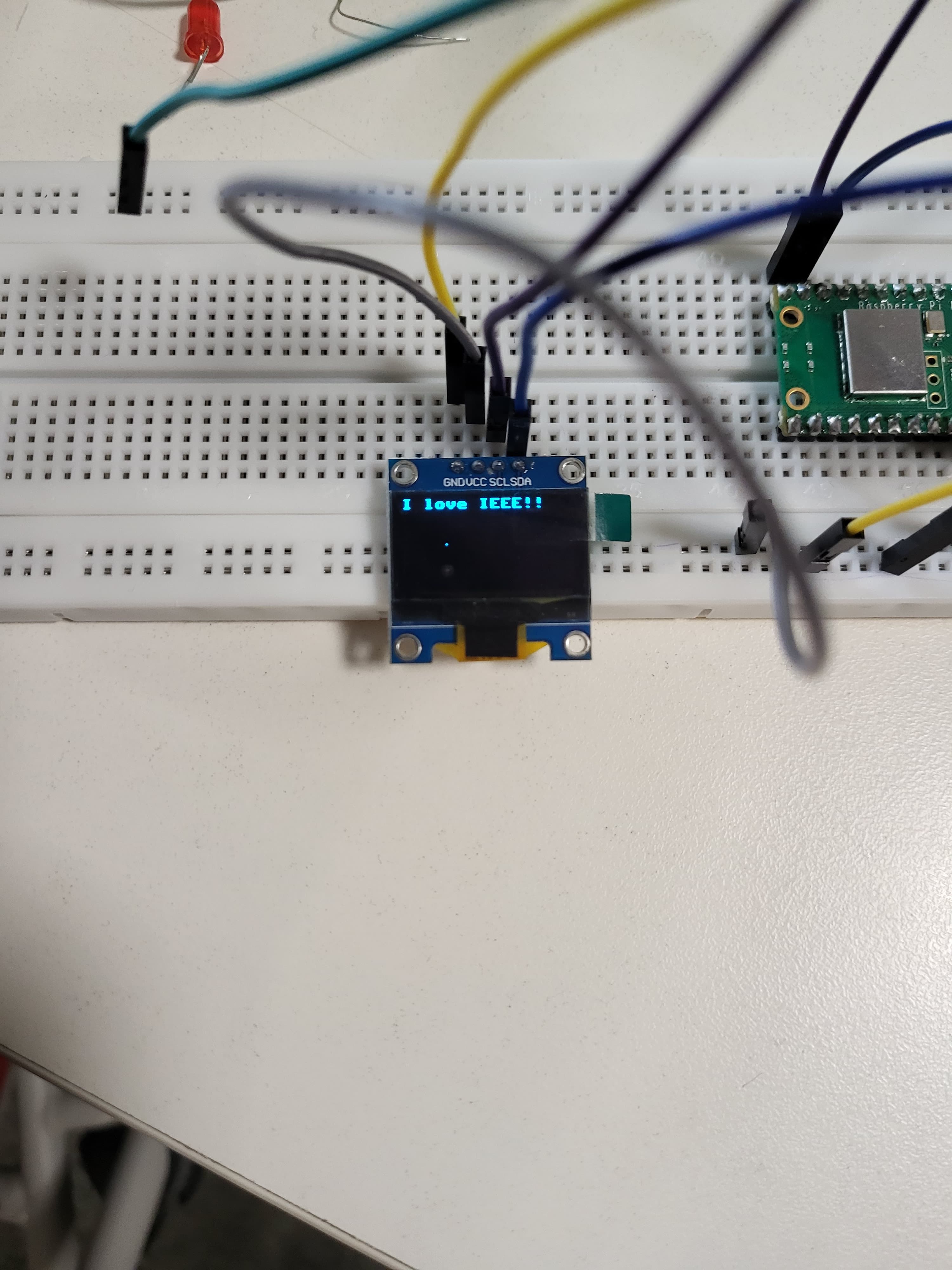 Bugs and Bytes 2.0 CS